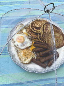 DIY outdoor food covers